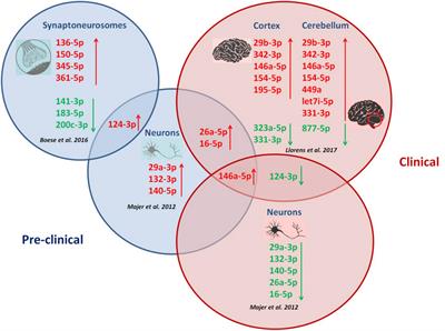 MicroRNA Alterations in the Brain and Body Fluids of Humans and Animal Prion Disease Models: Current Status and Perspectives